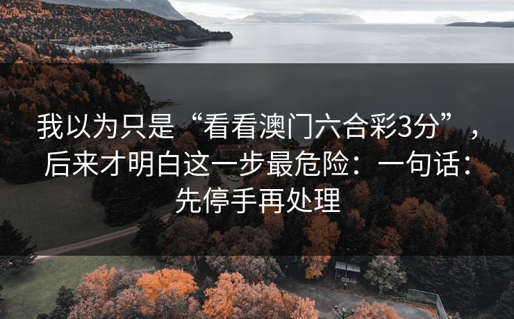我以为只是“看看澳门六合彩3分”,后来才明白这一步最危险:一句话:先停手再处理 我以为只是“看看澳门六合彩3分”,后来才明白这一步最危险:一句话:先停手再处理